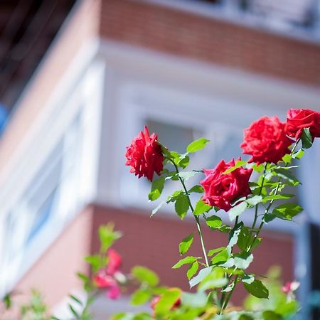B&B Il Pettirosso Malonno Bagian luar foto