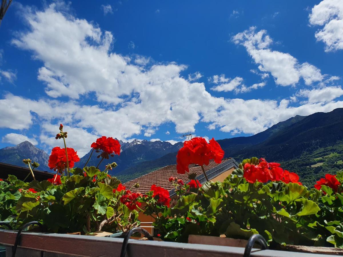 B&B Il Pettirosso Malonno Bagian luar foto