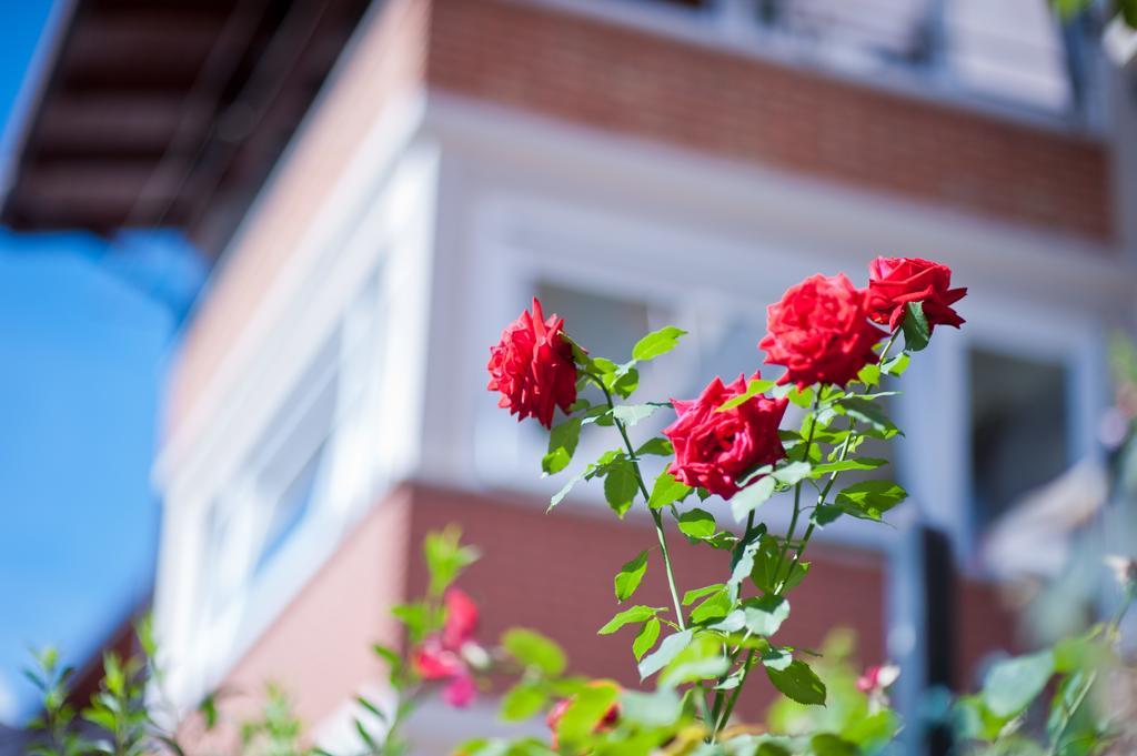 B&B Il Pettirosso Malonno Bagian luar foto